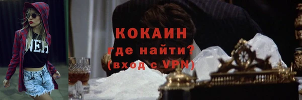 СК Белокуриха