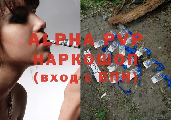СК Белокуриха