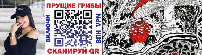 Псилоцибиновые грибы Psilocybine cubensis  купить  сайты  Макарьев 